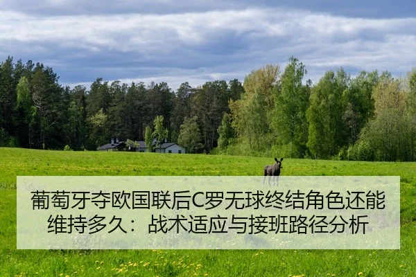 pu-tao-ya-duo-ou-guo-lian-hou-luo-wu-qiu-zhong-jie-jue-se-hai-neng-wei-chi-duo-jiu-zhan-shu-shi-ying-yu-jie-ban-lu-jing-2-431.jpg